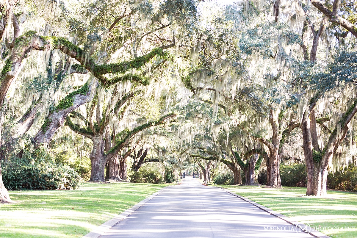 Litchfield Plantation, SC Wedding Photographer | Ashley & Cory Married ...